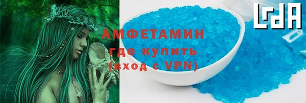 шишки Аркадак