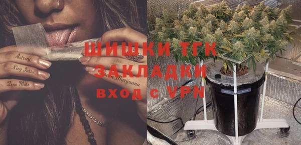 шишки Аркадак