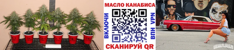 где продают наркотики  Бологое  Дистиллят ТГК вейп 