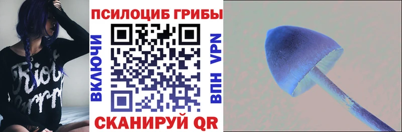 Галлюциногенные грибы мухоморы Бологое